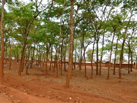 Le camp de Nyarugusu (Tanzanie) © AAD