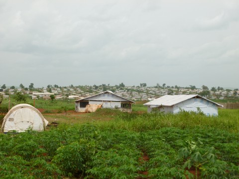 Vue du camp de Mole, RDC © AAD - avril 2015